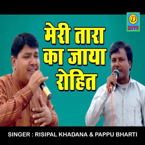 Meri Tara Ka jaya Rohit (Haryanvi) Risipal MP3 Download