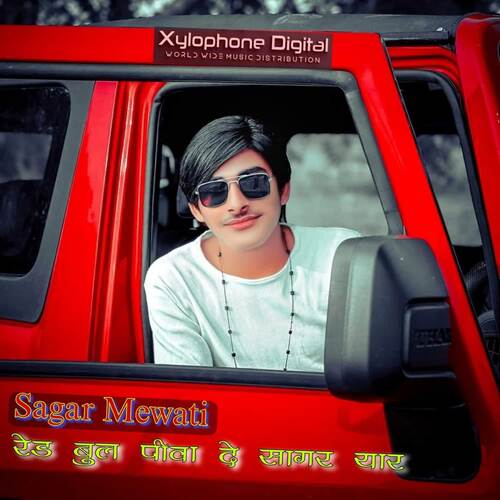 Read Bull Piva De Sagar Yaar Sagar Mewati MP3 Download