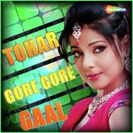 Rahil Raj Songs MP3 Download