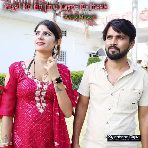 Pagal Ho Ho Jaro Kayee Ko Jiwak Aariz Mewati MP3 Download