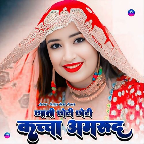 छाती छोटी छोटी कच्चा अमरूद Chanchal Mewati MP3 Download