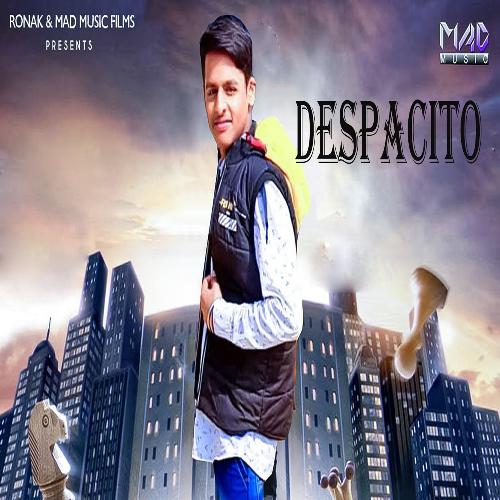 DESPACITO Hustler MP3 Download
